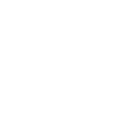 biz.solangerocha.com